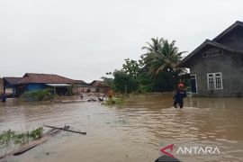 Banjir rendam dua desa di Jatiagung Lampung Selatan