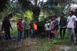 Mukomuko ajak semua pihak bersama-sama cari solusi tangani harimau