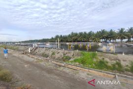 Optimisme sebidang tambak udang di Bumi Celebes