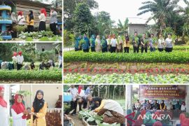 Bangka Tengah perkuat peran wanita tani sukseskan program MBG
