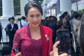 Wamen P2MI: Danantara penanda transformasi pengelolaan investasi