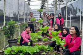 Bhayangkari Simalungun luncurkan program Pekarangan Pangan Lestari dukung Ketapang Nasional