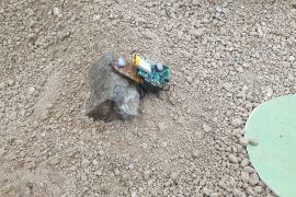 Undip bikin robot hybrid serangga tangani bencana