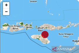 Gempa magnitudo 6.0 guncang Wanokaka, NTT