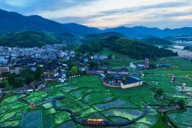 China terus majukan revitalisasi pedesaan secara menyeluruh