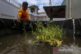 Budi daya sayur dan ikan di Rutan Kelas IIB Serang