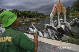 Menhut resmikan Aviary Park Indonesia