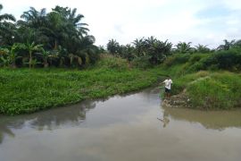 Diduga limbah pabrik tapioka cemari dua aliran sungai di Sergai