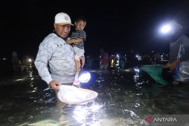 Terpopuler: Festival Bau Nyale 2026, zona merah gelombang tinggi, hingga penataan lanskap situs Candi Plaosan