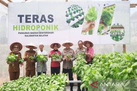 Polda Kalsel panen ratusan kilogram sayur program ketahanan pangan