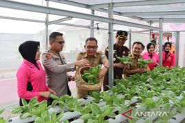 Polres Bangka Barat bersama Forkopimda panen jagung