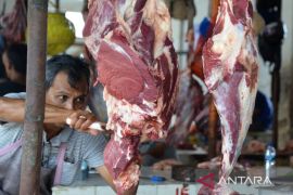 Pemkot Bengkulu lakukan pengawasan daging di pasar selama Ramadhan