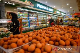 Ekonomi tetap bergerak: penjualan ritel Januari 2025 alami pertumbuhan 0,4 persen secara tahunan