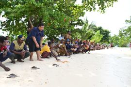 Dedikasi PIBATA melestarikan penyu di Taman Nasional Teluk Cendrawasih