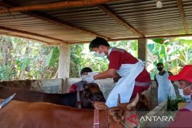 Pemkab Sampang terima tambahan 21.700 dosis vaksin PMK