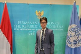 Pakar nilai pemerintah perlu perkuat pengawasan terhadap Danantara