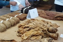 DPR minta aturan nikotin tetap jaga sektor tembakau nasional
