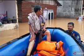 Damkartan Kota Jambi evakuasi warga terjebak  banjir