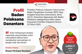Profil Badan Pelaksana Danantara