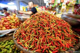 Sejumlah komoditas pangan mulai alami kenaikan harga