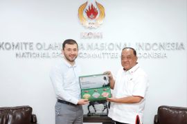 Potensi MMA di Indonesia sangat besar