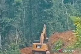 KPH Mukomuko bantu polisi selidiki informasi perambahan hutan