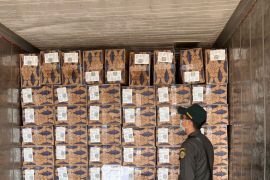 Balai Karantina Malut fasilitasi ekspor tuna loin dari Morotai ke Thailand