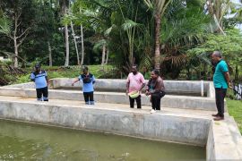 Pemkab Kaimana dampingi kelompok budidaya ikan air tawar