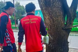 Pemkab Natuna basmi ulat bulu di pemukiman warga di Bunguran Timur