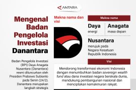 Mengenal Badan Pengelola Investasi Danantara