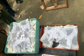 BKSDA Maluku  musnahkan opsetan kupu-kupu hasil sitaan penyelundupan