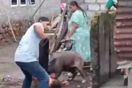 Polisi bersama warga Ternate evakuasi korban serangan babi hutan