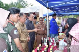 Wabup Agam dorong pelaku UMKM pasarkan produk melalui digital