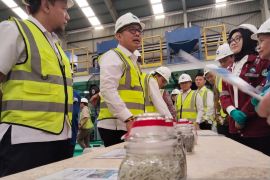 Wamen Investasi: Hadirnya pabrik katalis dorong kemandirian energi