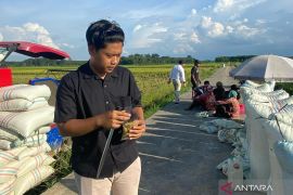 Bulog serap 1.300 ton gabah petani di  OKU Timur