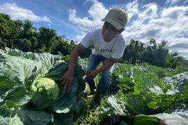 Garut gelorakan program GEC untuk melahirkan petani muda