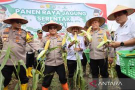 Polda Kalsel panen 10 ton jagung