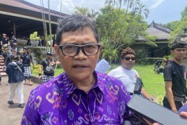 Dishub Bali tanggapi masalah parkir liar di desa adat