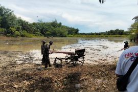 Satgas TMMD Ke-123 Kotabaru buka lahan pertanian dua hektare