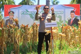 Wakapolda Gorontalo: Sinergi Polri dan petani untuk swasembada pangan