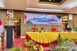 Dinkes Manokwari tingkatkan eliminasi malaria lewat pelajaran muatan lokal