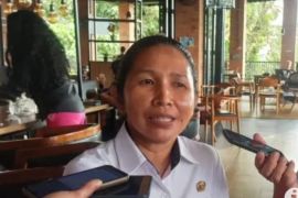 DP3AMD  Ambon sebut kasus KDRT dan rudapaksa anak mendominan di 2024