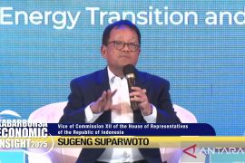 DPR sebut RI harus terapkan pertambangan berkelanjutan