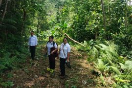 Sudi Agusriang Harefa tempuh jarak 3 km setiap hari demi berikan penyuluhan kepada masyarakat