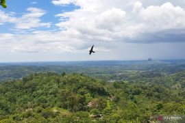 Kaum muda terus upayakan selamatkan tutupan hutan TNKS
