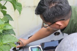 Uji nutrisi tanah, DKP Kota Tangerang gunakan teknologi internet