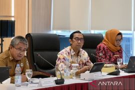 Kalsel sumbang Rp331,87 miliar ke negara dan daerah dari sektor lelang