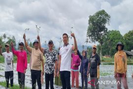 Wujudkan ketahanan pangan di Madina, Dinas Pertanian dan Kadin kolaborasi manfaatkan lahan tidur