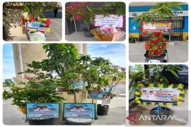 Kotabaru Regent urges flower bouquets to be replaced with productive plants