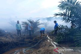 BPBD: Kebakaran lahan di Aceh Barat sudah berhasil dipadamkan